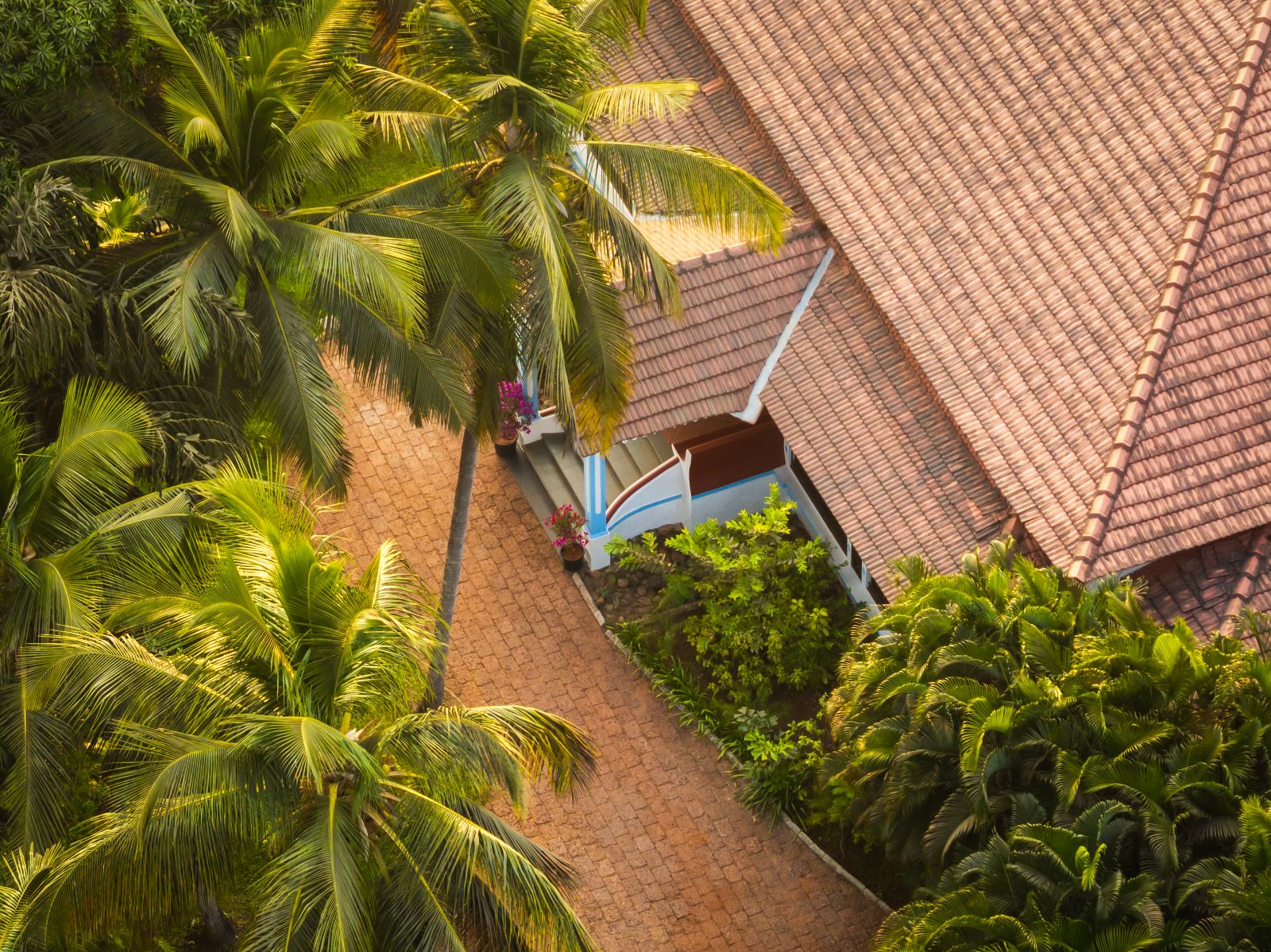 DJI_0785.jpg